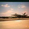 Hornet2