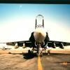 Hornet5